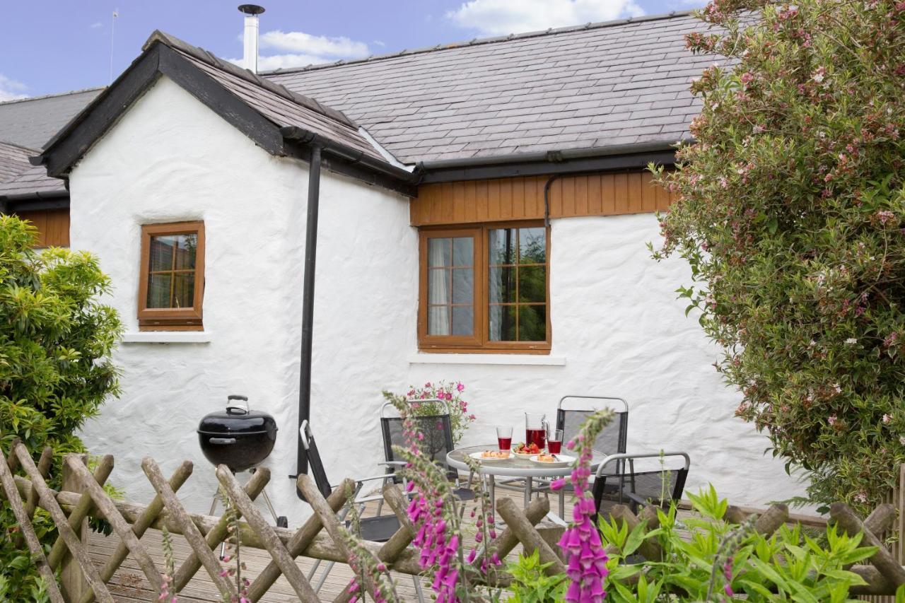 Croft Farm & Celtic Cottages Cardigan Ngoại thất bức ảnh
